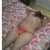 Eskişehir Escort Bayan Çiğdem - Resim4 Eskişehir Escort Bayan Çiğdem - Resim4