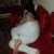 Sınırsız Escort Zeyno - Resim4 Sınırsız Escort Zeyno - Resim4