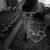 Orjinal Resimli Escort Gonca - Resim2 Orjinal Resimli Escort Gonca - Resim2