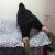 Olgun Escort Tuğçe - Resim9 Olgun Escort Tuğçe - Resim9