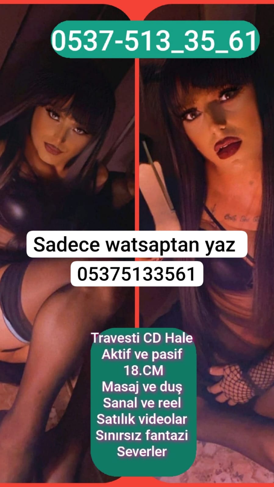 Travesti Hale